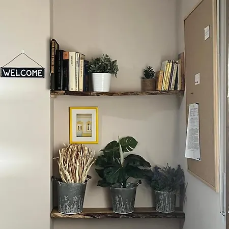 Apartamento Acogedor Pineta Bielsa Exterior photo